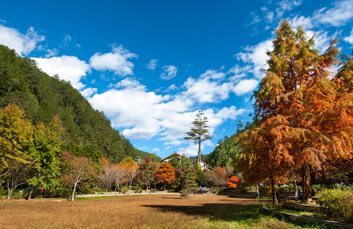 武陵農場山林景觀