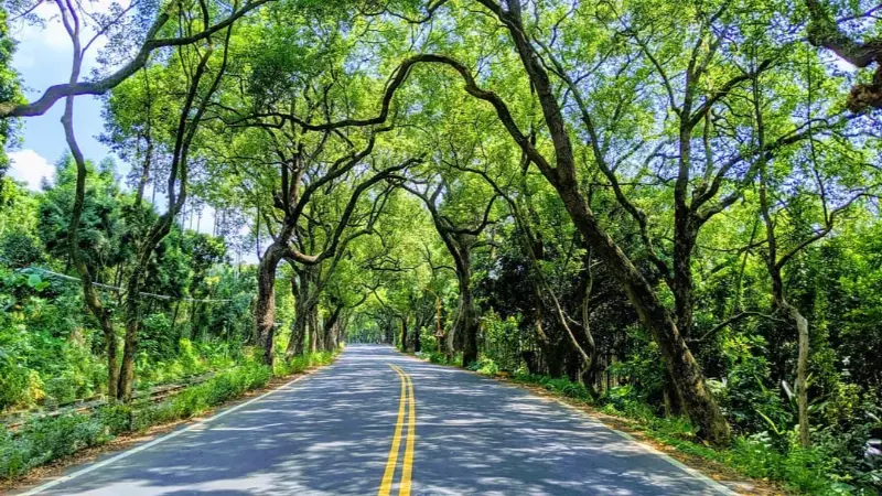 集集綠色隧道