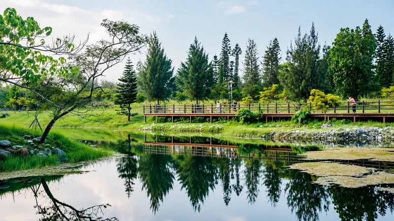 台東森林公園